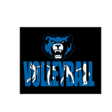 Ki Be Bears Volleball   tri blend tee
